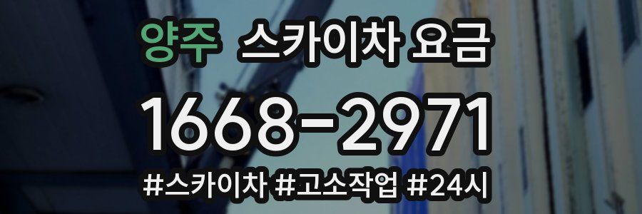양주 스카이차 요금