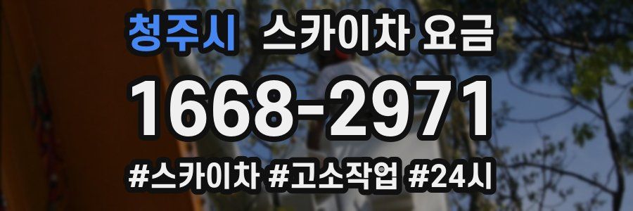 청주시 스카이차 요금