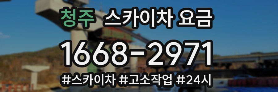 청주 스카이차 요금