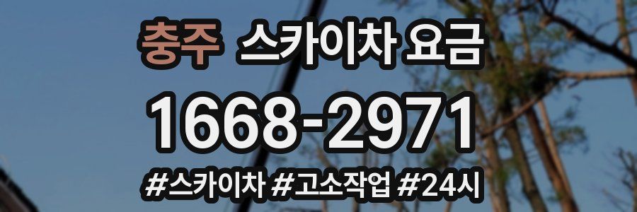 충주 스카이차 요금