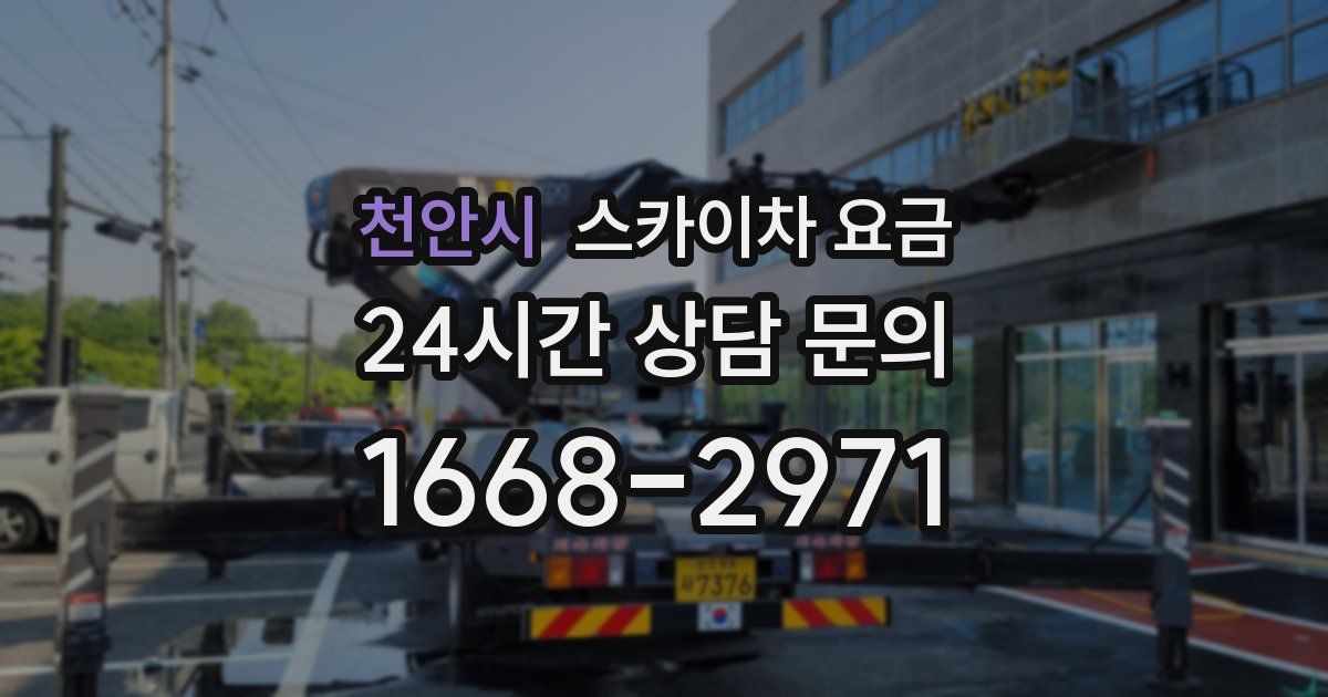 천안시 스카이차 요금