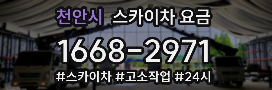 천안시 스카이차 요금