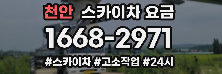 천안 스카이차 요금