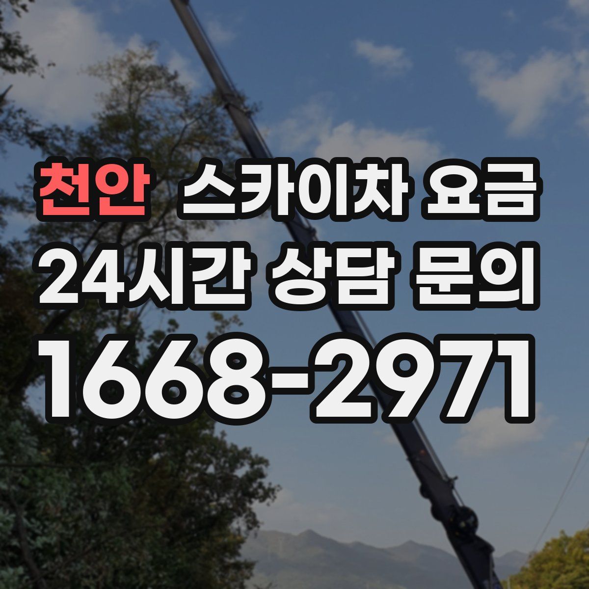 천안 스카이차 요금