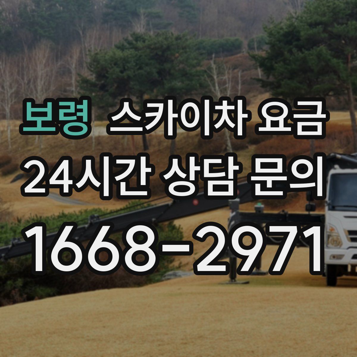 보령 스카이차 요금