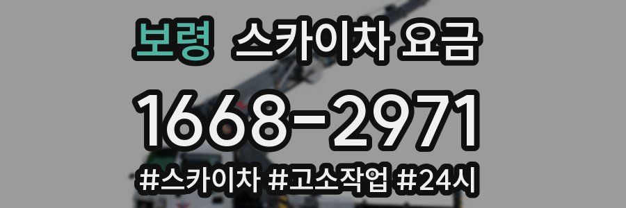 보령 스카이차 요금