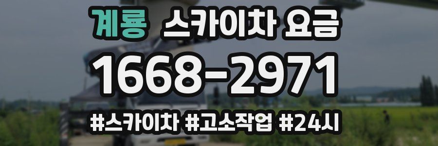 계룡 스카이차 요금