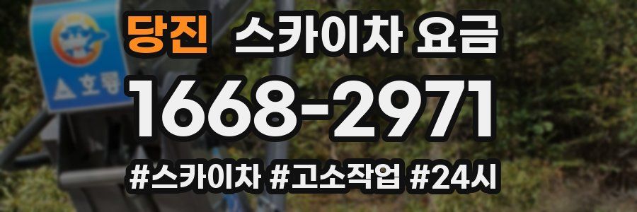 당진 스카이차 요금