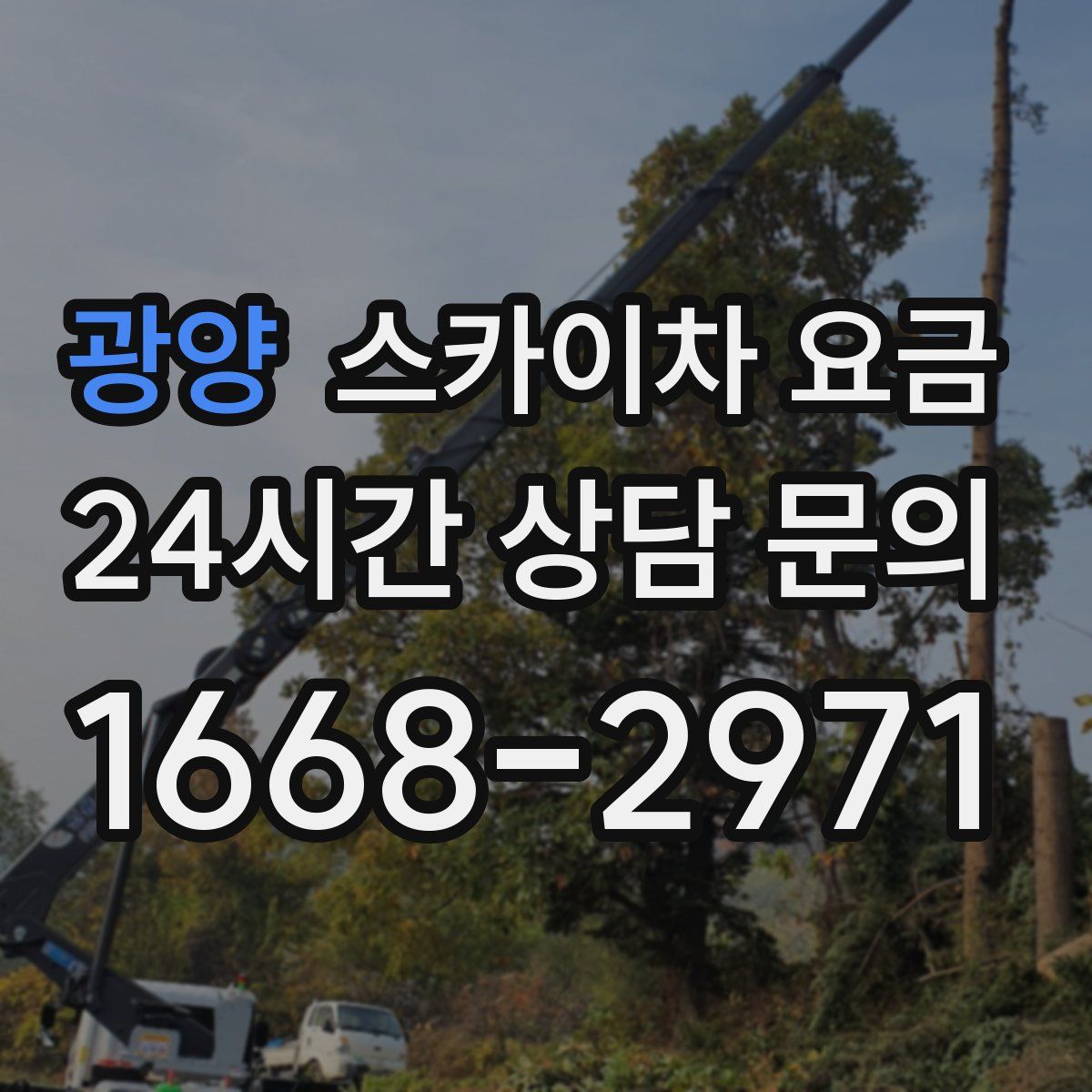 광양 스카이차 요금