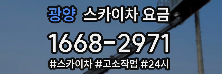 광양 스카이차 요금