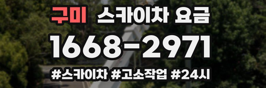 구미 스카이차 요금