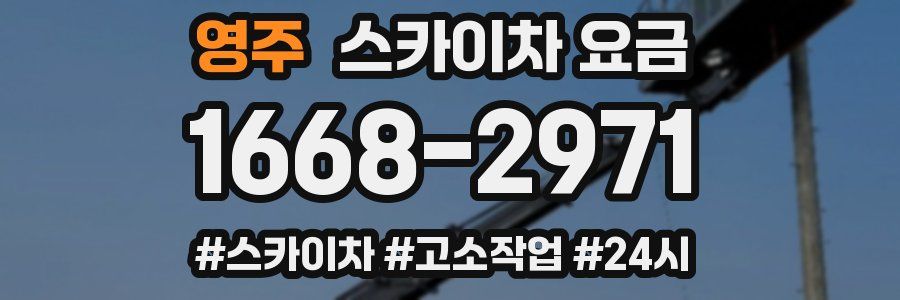 영주 스카이차 요금