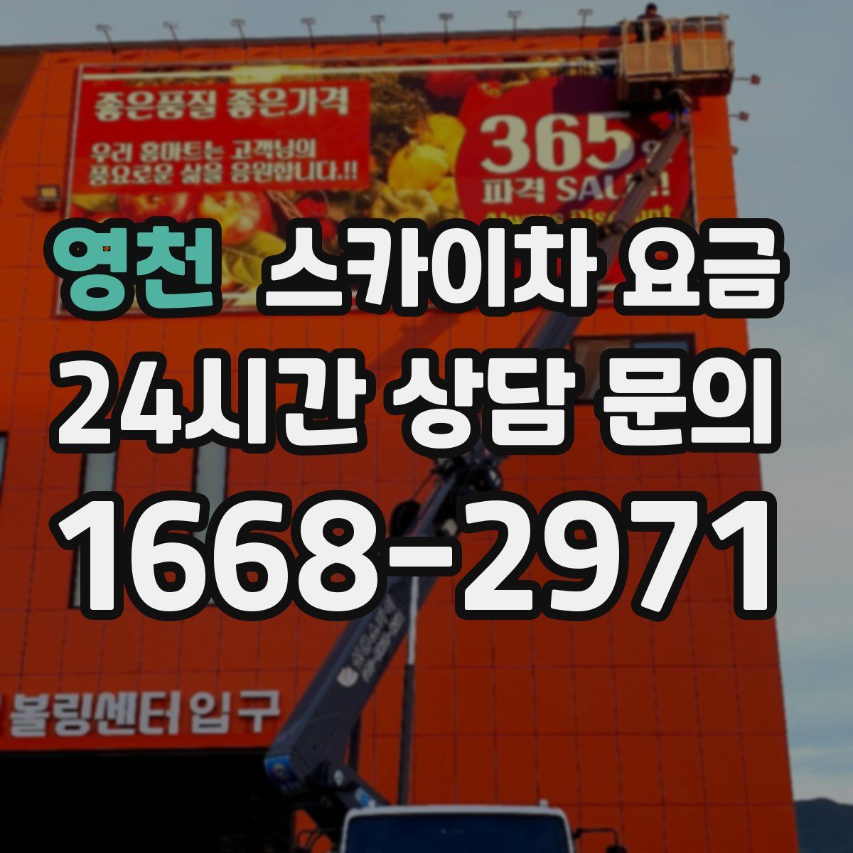 영천 스카이차 요금