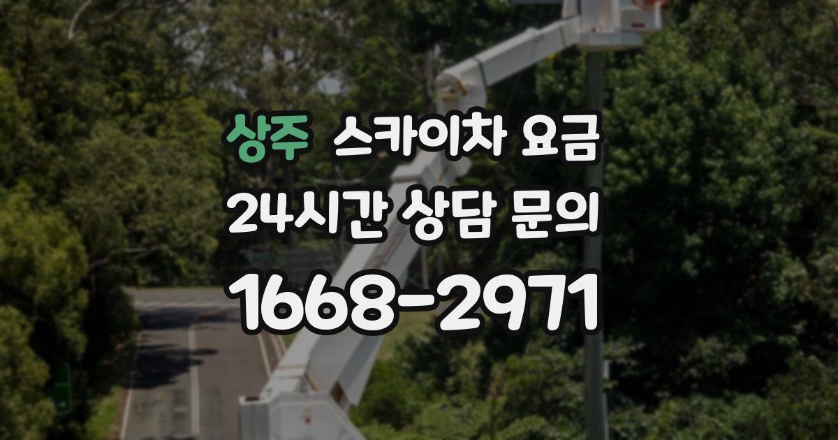 상주 스카이차 요금