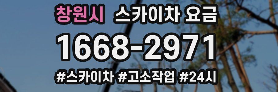 창원시 스카이차 요금