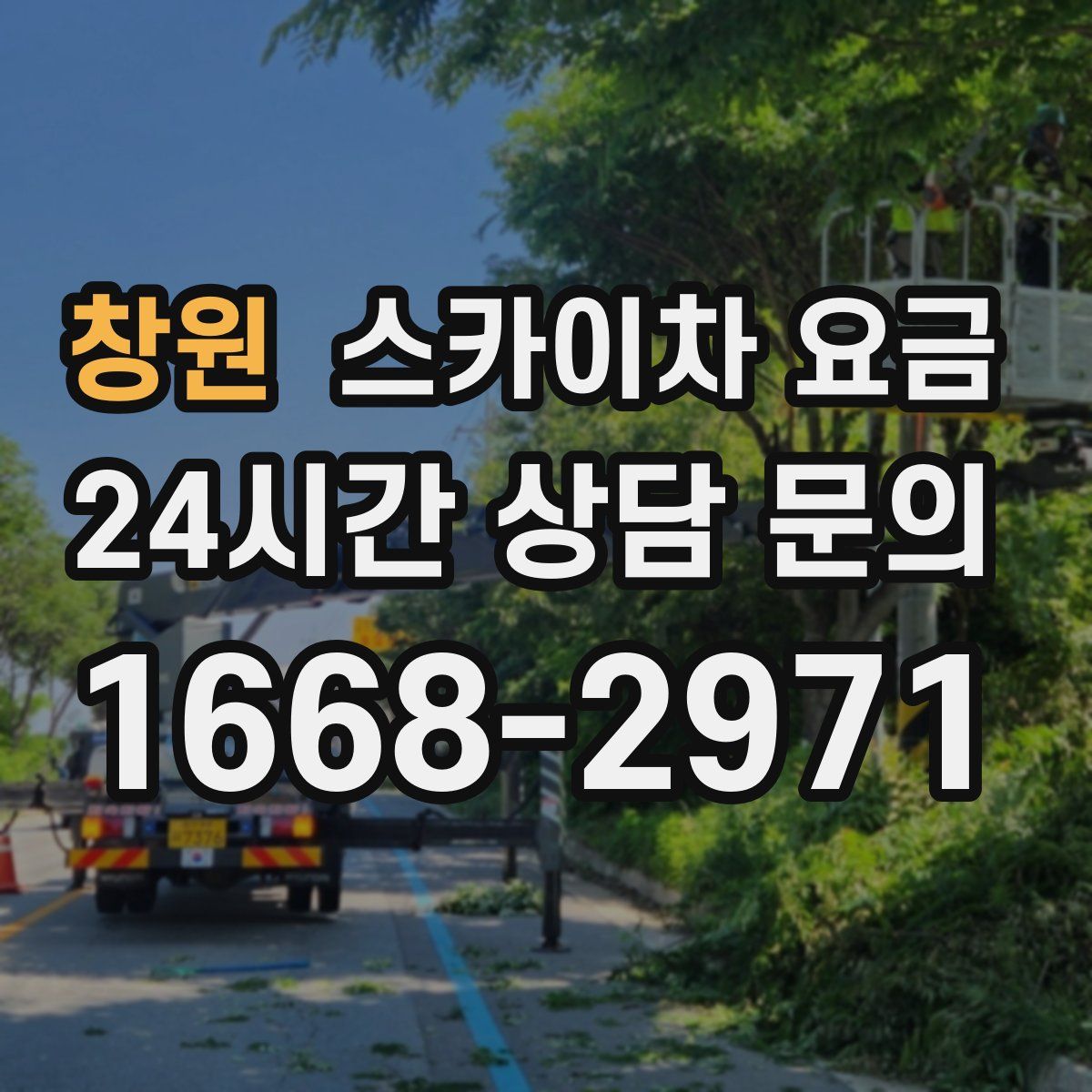 창원 스카이차 요금