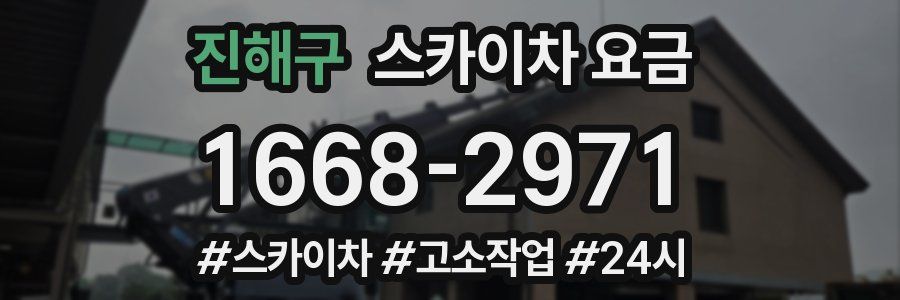 진해구 스카이차 요금