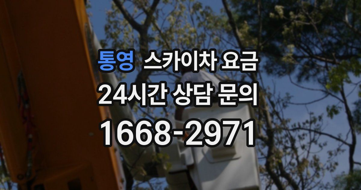 통영 스카이차 요금