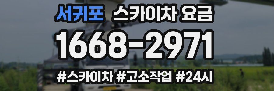 서귀포 스카이차 요금