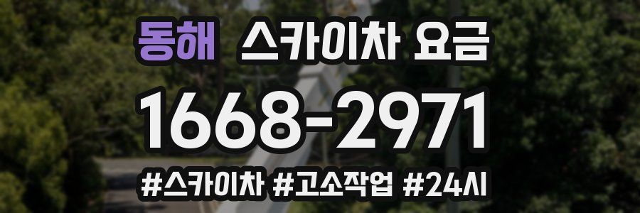 동해 스카이차 요금