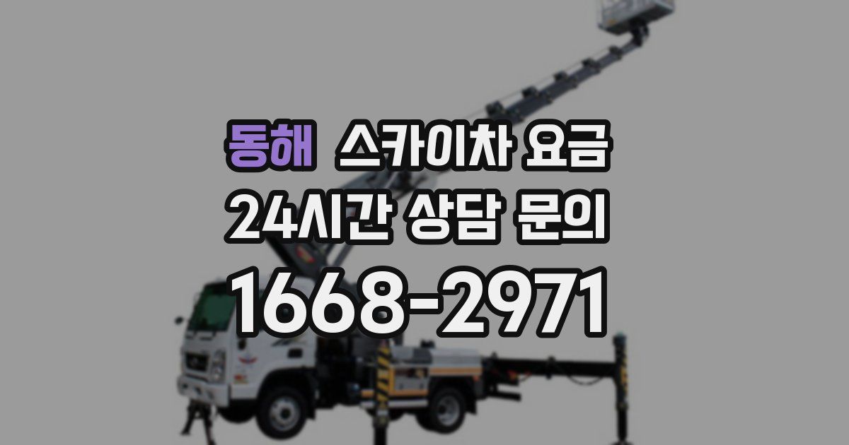 동해 스카이차 요금