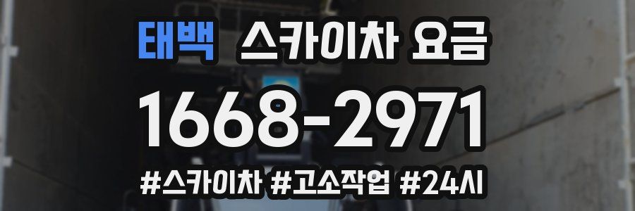 태백 스카이차 요금