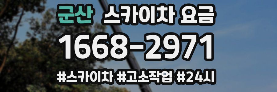 군산 스카이차 요금