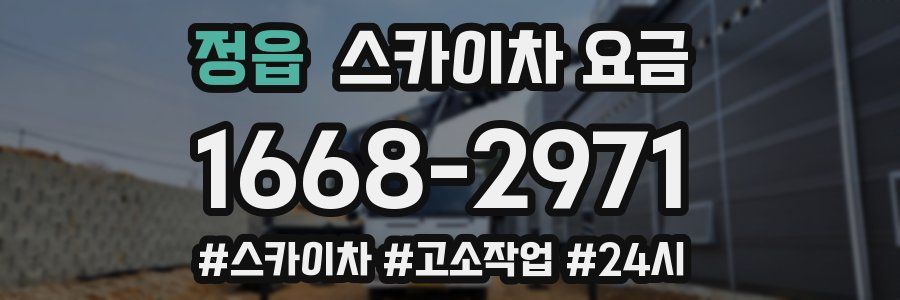 정읍 스카이차 요금