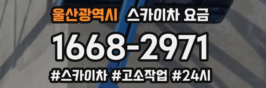 울산광역시 스카이차 요금
