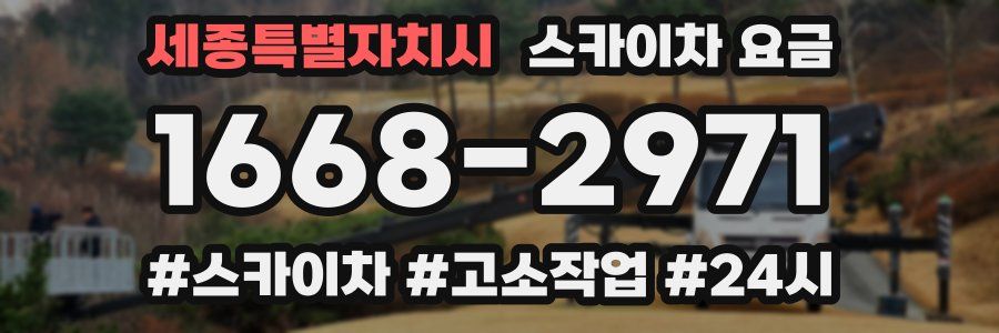 세종특별자치시 스카이차 요금