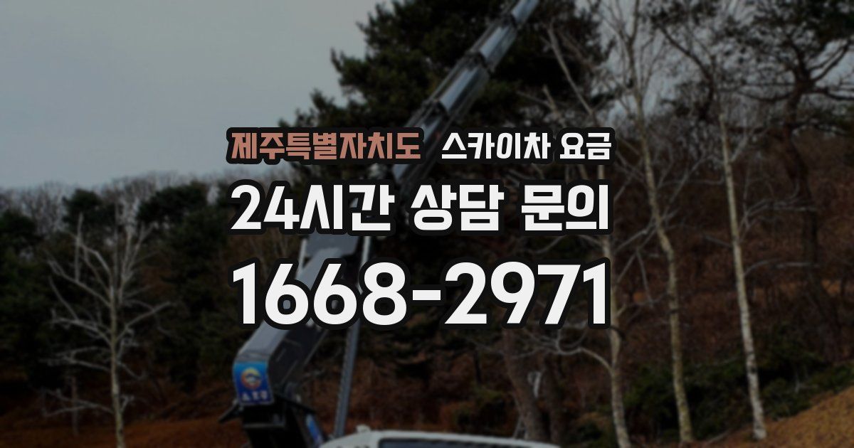 제주특별자치도 스카이차 요금