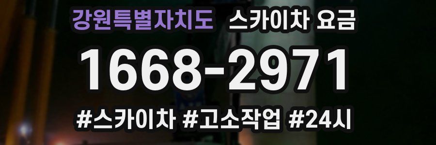 강원특별자치도 스카이차 요금