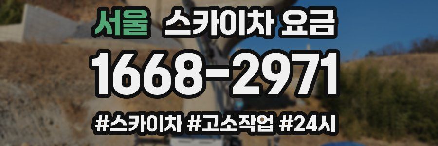 서울 스카이차 요금