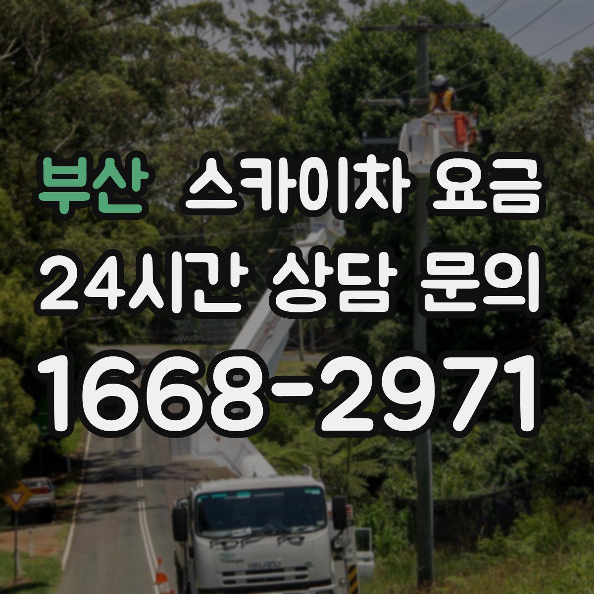 부산 스카이차 요금