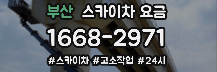 부산 스카이차 요금