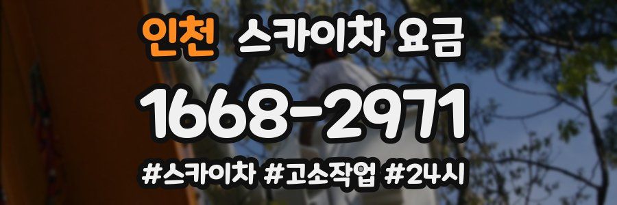 인천 스카이차 요금