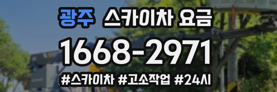 광주 스카이차 요금