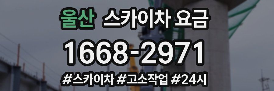 울산 스카이차 요금