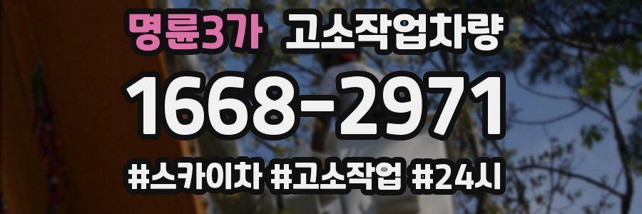 명륜3가 고소작업차량