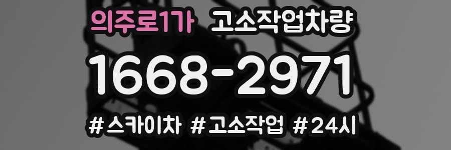 의주로1가 고소작업차량
