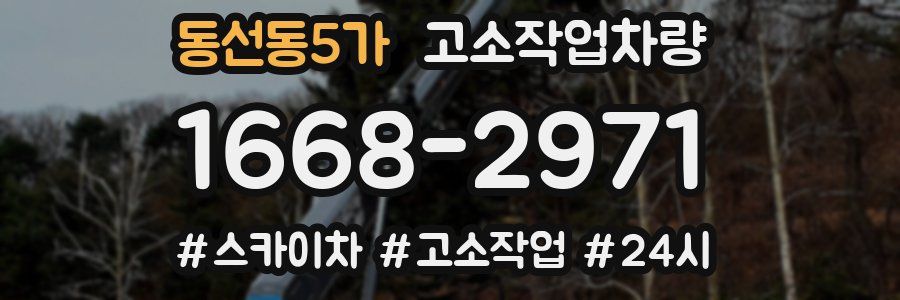 동선동5가 고소작업차량