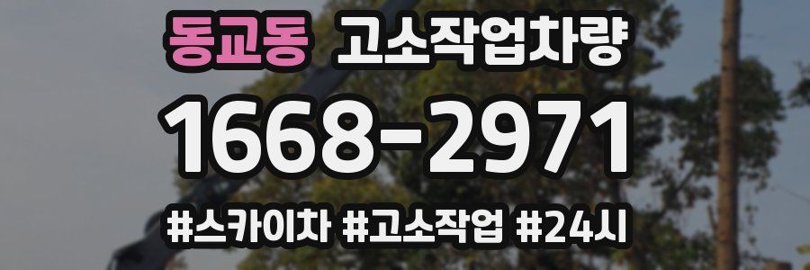 동교동 고소작업차량