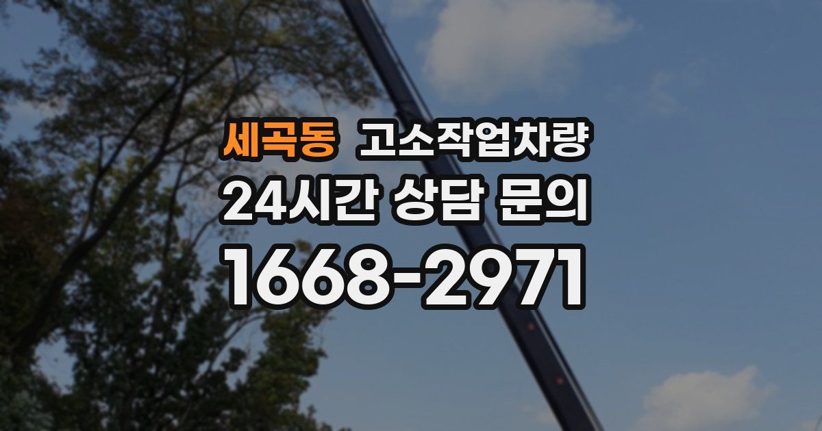 세곡동 고소작업차량