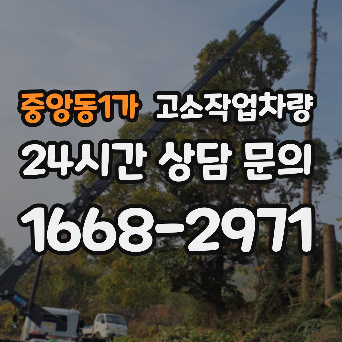 중앙동1가 고소작업차량