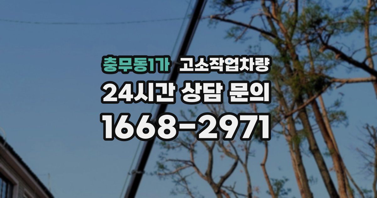 충무동1가 고소작업차량