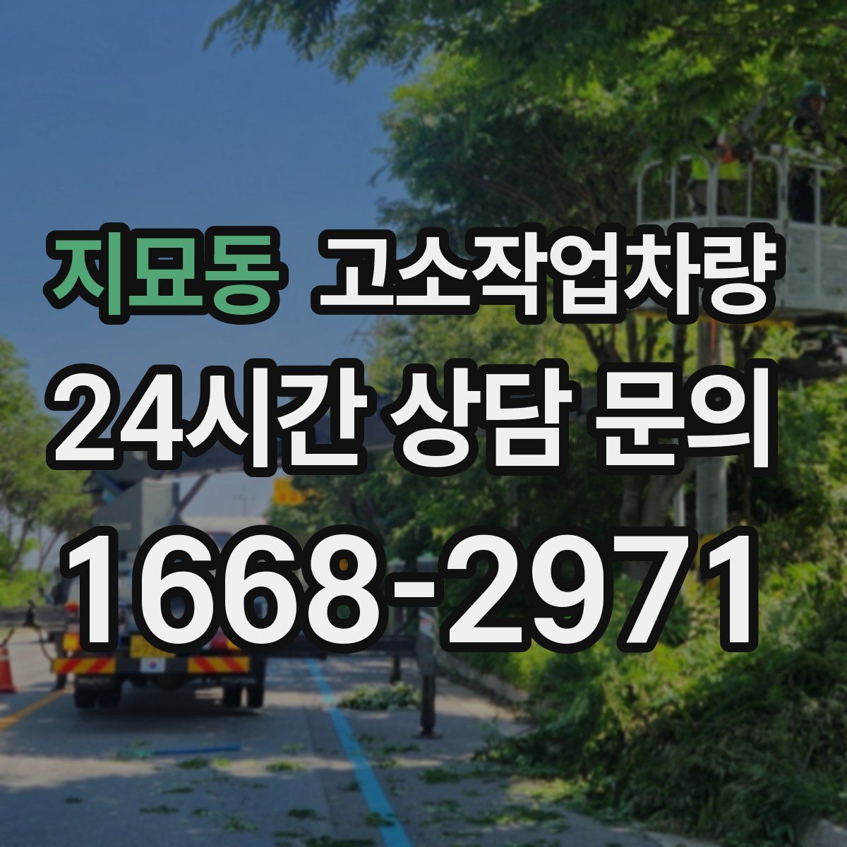 지묘동 고소작업차량