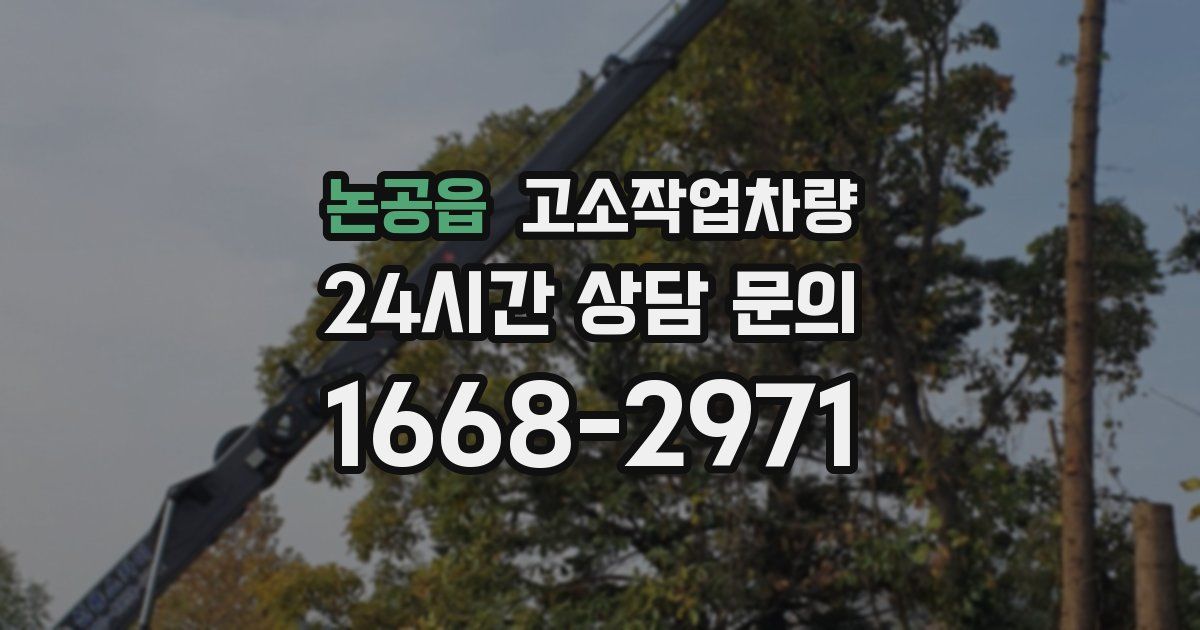 논공읍 고소작업차량