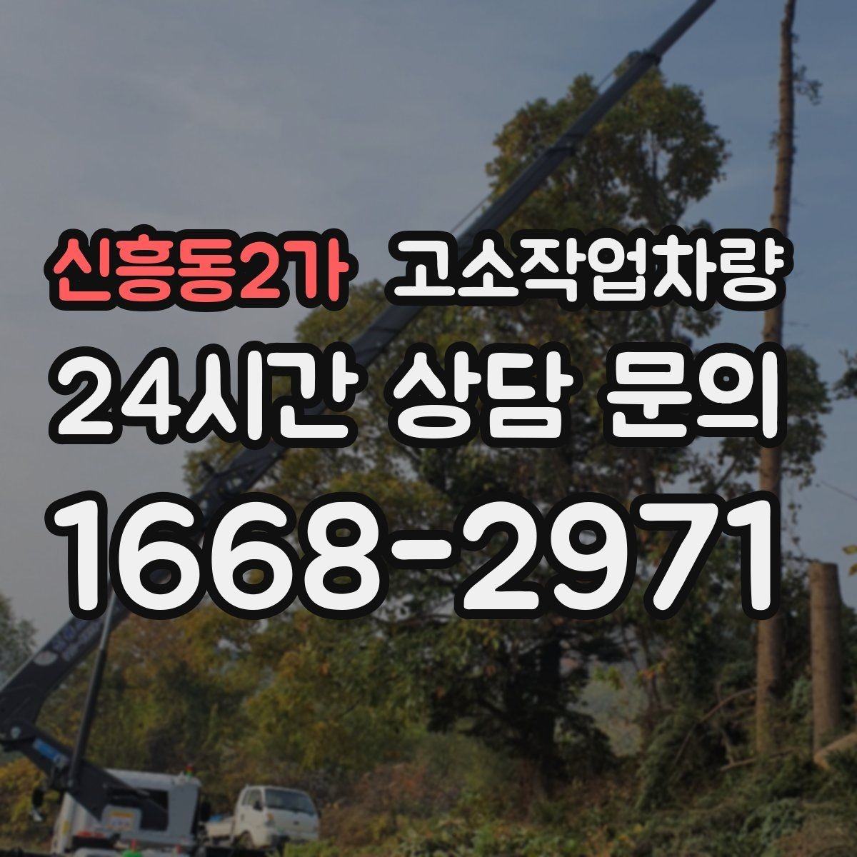 신흥동2가 고소작업차량 현장별 필요한 작업 높이 범위