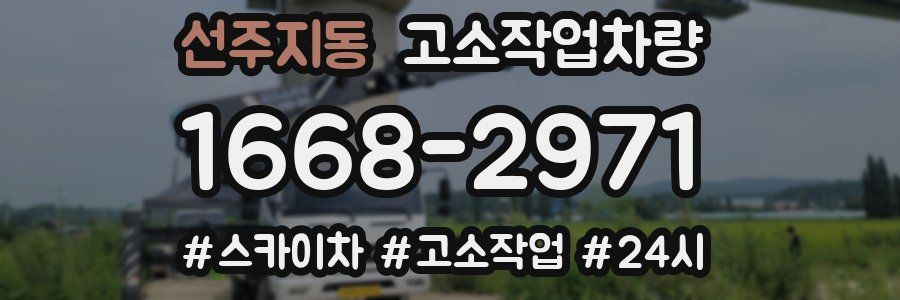 선주지동 고소작업차량