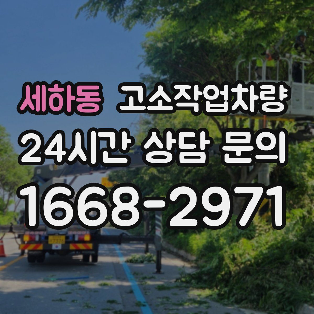 세하동 고소작업차량